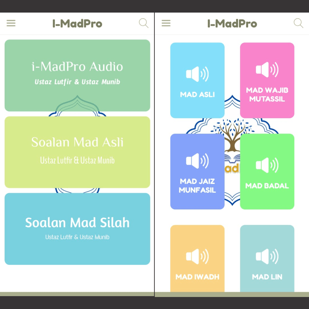i-MadPro - diy app builder Raxbit (1)